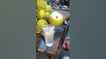 Best Machetes for Coconut Opening: A Practical Comparison