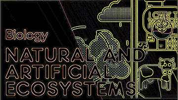 Eye Care Environment "Differences Between Natural & Artificial Ecosystems | Ecology & Environment"