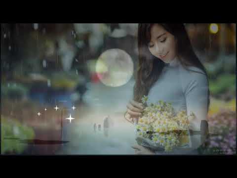 情倆牽   陳果〈MMO 卡拉版〉