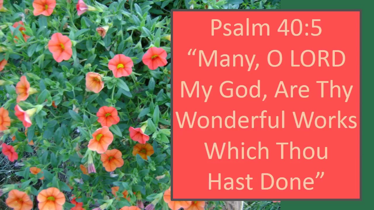 psalm-40-5-many-o-lord-my-god-are-thy-wonderful-works-which-thou