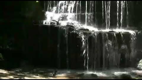 القارئ رضوان عبدالشكور