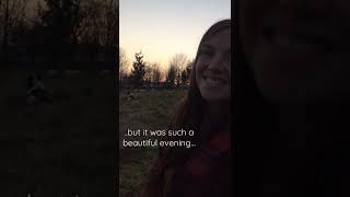 #shorts - Beautiful evening spent moving geese