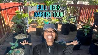 Full Deck Garden Tour | Everything I'm Growing + Heat Wave Setup