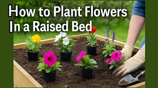 How to Plant Flowers in a Raised Garden Bed | Easy Gardening Guide
