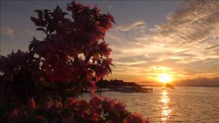 D.J. TETO SHAPER-PURE DEEP HOUSE I - FEBRUARY 2013
