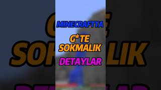 Minecraftta Gte Sokmalık Bilgiler 3