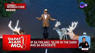 Mga Hayop Sa Finland, Glow In The Dark Para Makaiwas Sa Aksidente?! | Dapat Alam Mo!