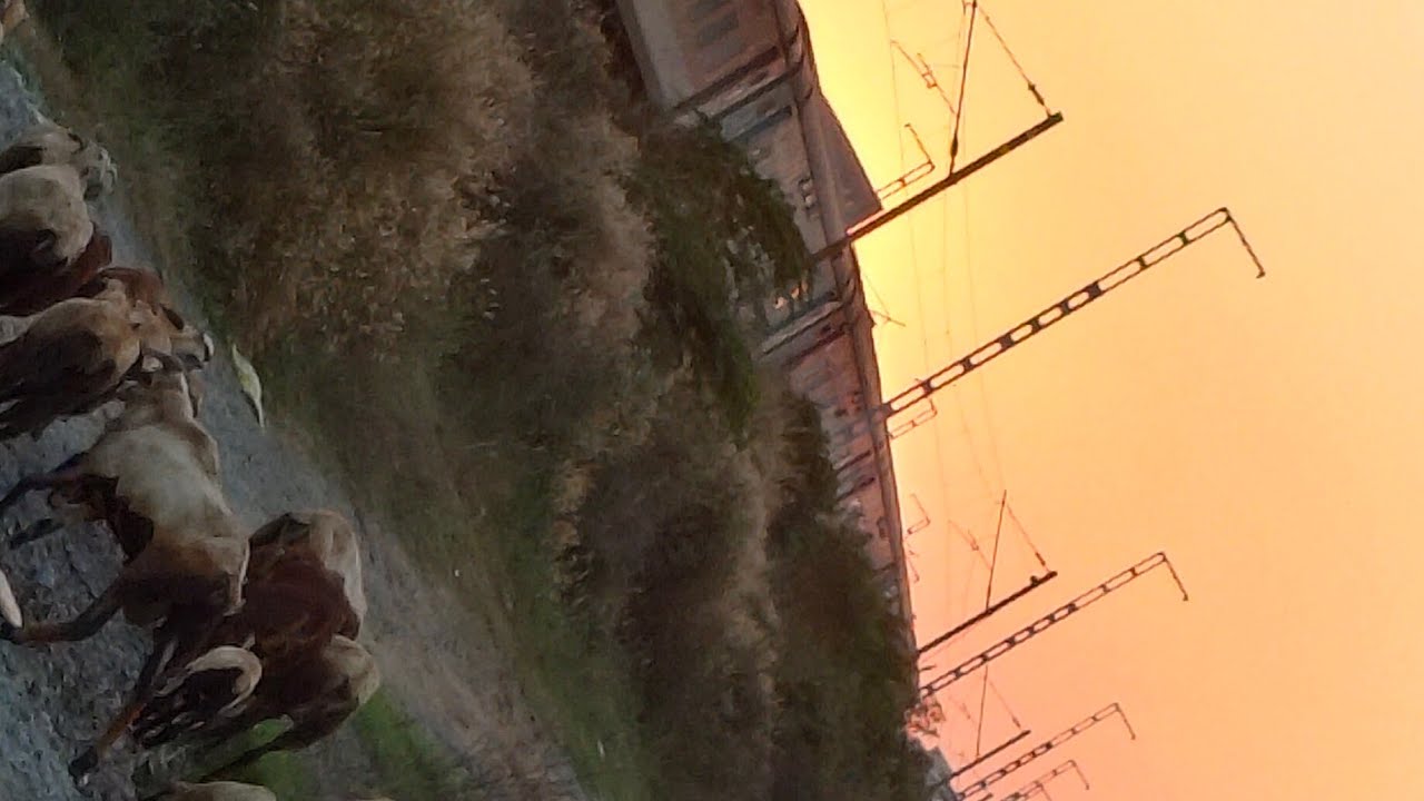 কেমন আছো সবাই