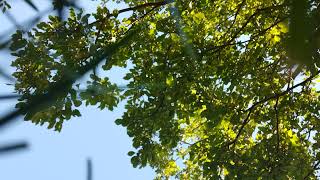 Daniel Larson experiences a heat stroke. Profile