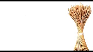 Online Dienst De Schoof Daarlerveen.