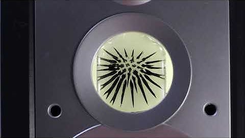 3D-Ferrofluid-Audio-Visualizer playing "amadein curcuva"
