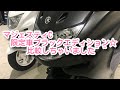 【マジェスティC限定車】マジェスティC ブラックエディション　入荷