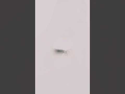 I Wanna Be Your Slave By Maneskin Lyrics