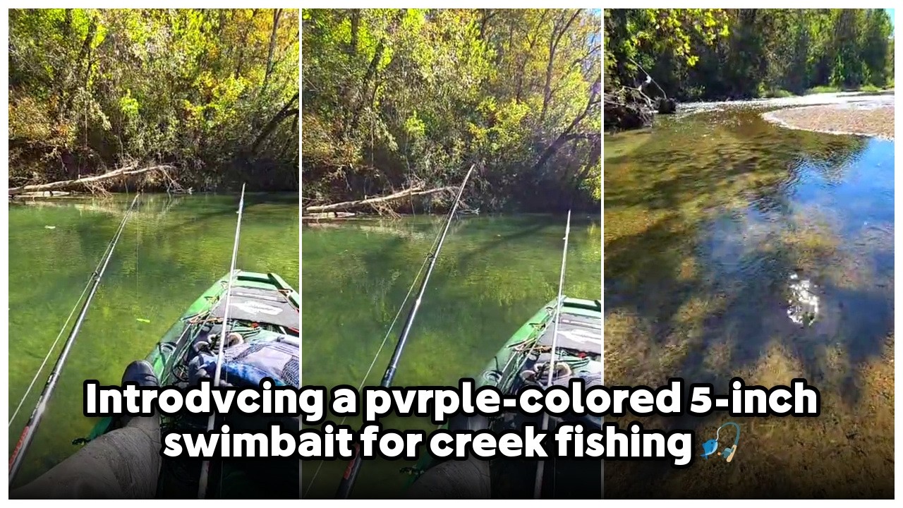 Introducing a purple-colored 5-inch swimbait for creek fishing 🎣