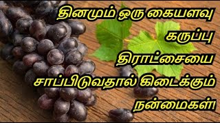 Benefits of Black Grapes in Tamil | Uses Of Black Grapes | Black Grapes | Healthy Life - Tamil.
