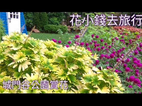 城門谷公園打卡賞花 香港夏天好去處21 Shing Mun Valley Park Tsuen Wan Hong Kong Youtube 城門谷公園打卡賞花 香港夏天好去處21 Shing Mun Valley Park Tsuen Wan Hong Kong Youtube