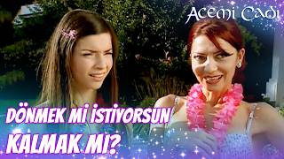 Ayşegül Kimin Yanında Yaşayacak? Acemi Cadı Özel Klip