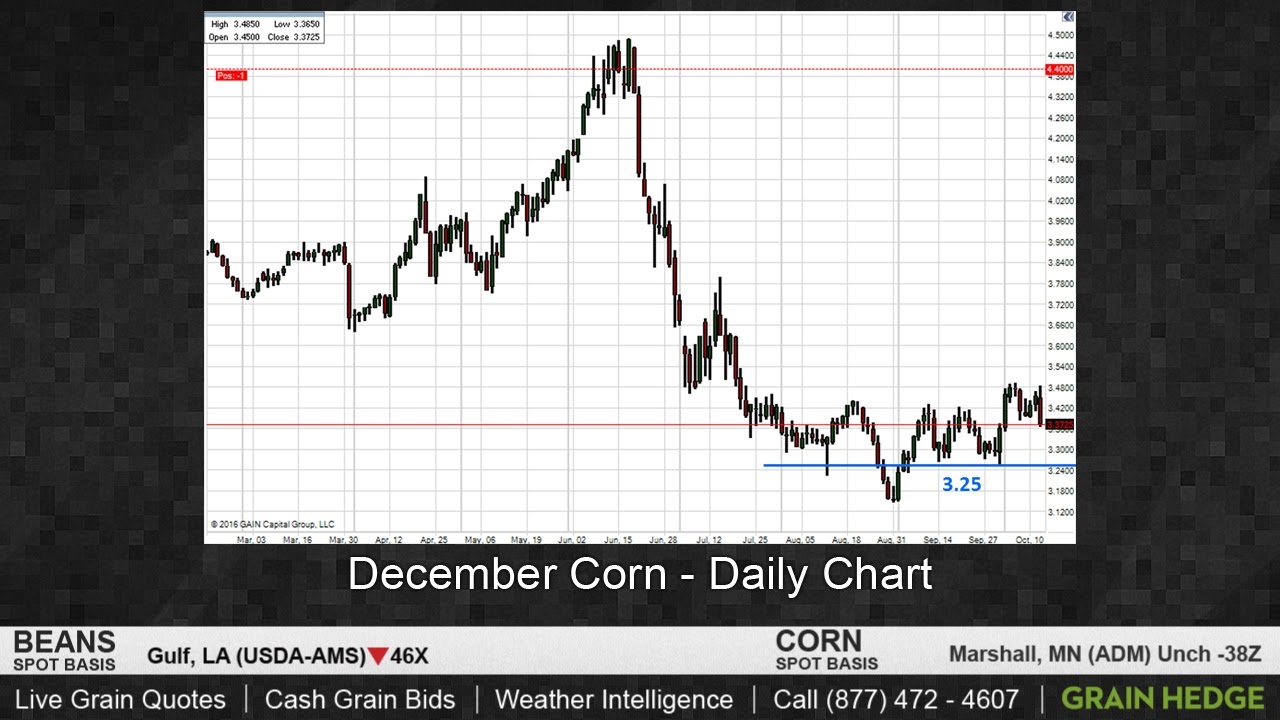 Skepticism of Higher Corn Prices Increases