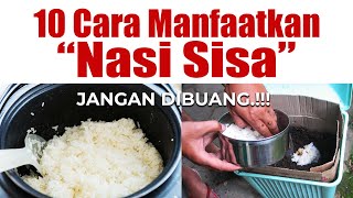 Andai Tau Dari Dulu ❗❗❗ 10 CARA MEMANFAATKAN NASI SISA | Pupuk Organik Suburkan Tanah & Tanaman