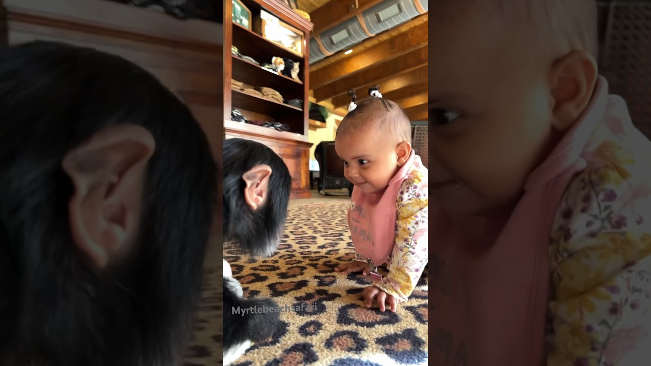 “Look, you’re really cute, but I can’t understand what you’re saying.” 