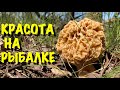 Сморчки на рыбалке 1