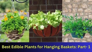 Best Edible Plants for Hanging Baskets: Part - 1 #indoorplants #hangingplant by nsfarmhouse 31 views 6 months ago 3 minutes, 42 seconds