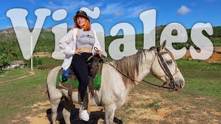 Viviendo como turista en Cuba 🇨🇺 Viñales Pinar del Río