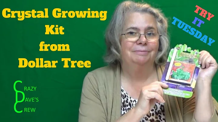 Dollar Tree Crystal Growing Kit — Does It Actually Work?!