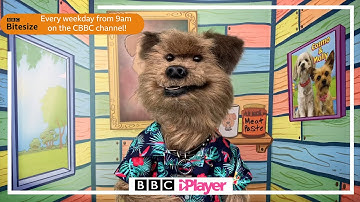 Learning at Home?  BBC Bitesize and CBBC have got you