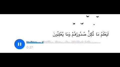 وان ربك ليعلم ما تكن صدورهم وما يعلنون قرآن كريم راحة نفسية ♥️