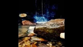 Instrumen Sape' Dayak Menyentuh Hati