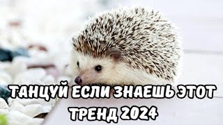 💗ТАНЦУЙ ЕСЛИ ЗНАЕШЬ ЭТОТ ТРЕНД 2024💗