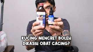 Kucing Mencret Boleh Dikasih Obat Cacing?