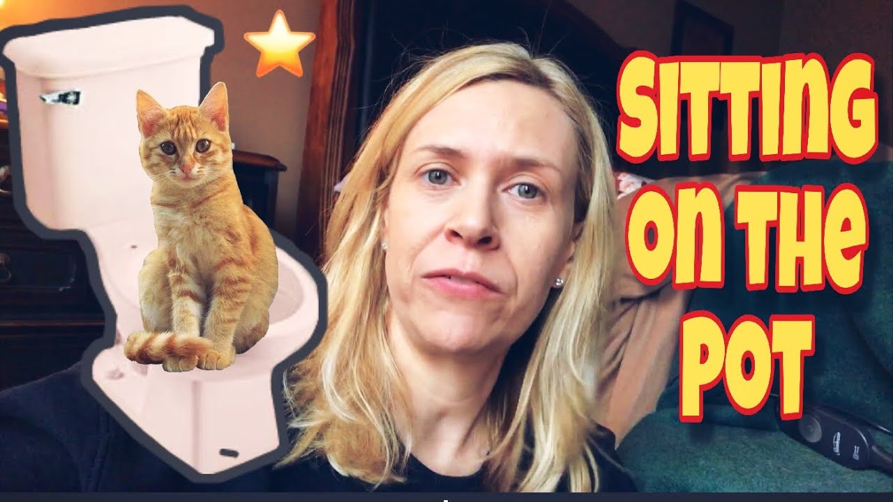 SITTING ON THE POT! | Vlog | December 27, 2018 | Traci B