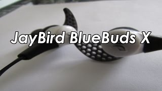 Jaybird Bluebuds X Review Best Bluetooth Earbuds? Marco Medina