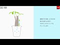 日本SUS.TEE土壤水份計量計(盆栽專用)