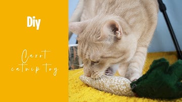 HOW TO MAKE A CATNIP TOY - carot catnip toy