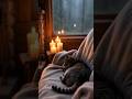 Peaceful cabin in the woods 💫🌲 #relax #rainoundforsleep #ambient #rain #ambientsounds #cabin