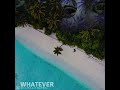 Digital Crates - Whatever