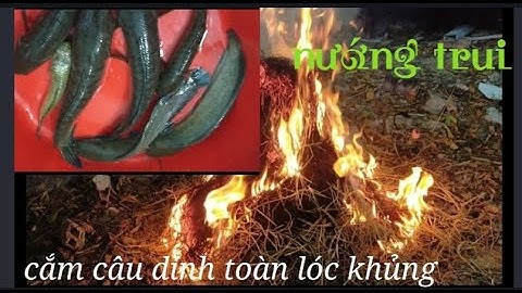 CẮM CÂU DÍNH TOÀN LÓC KHỦNG | CÁ LÓC NƯƠNG TRUI | Đồng Nai food