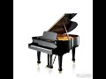 Instrumental