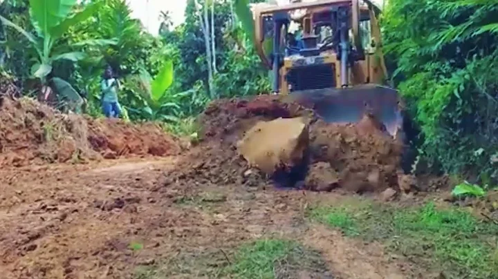 Watch the CAT D6R XL Bulldozer in Action Roads Built in the plantation