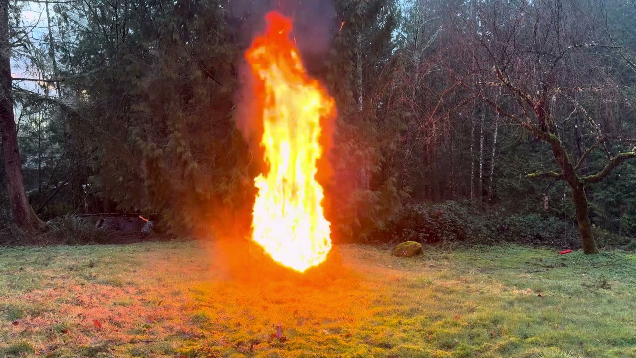 クリスマス ツリー 火事