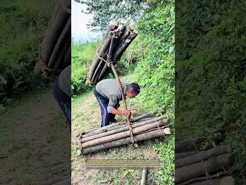 Video Legare il legno come un pugile: Quando la forza incontra la tradizione