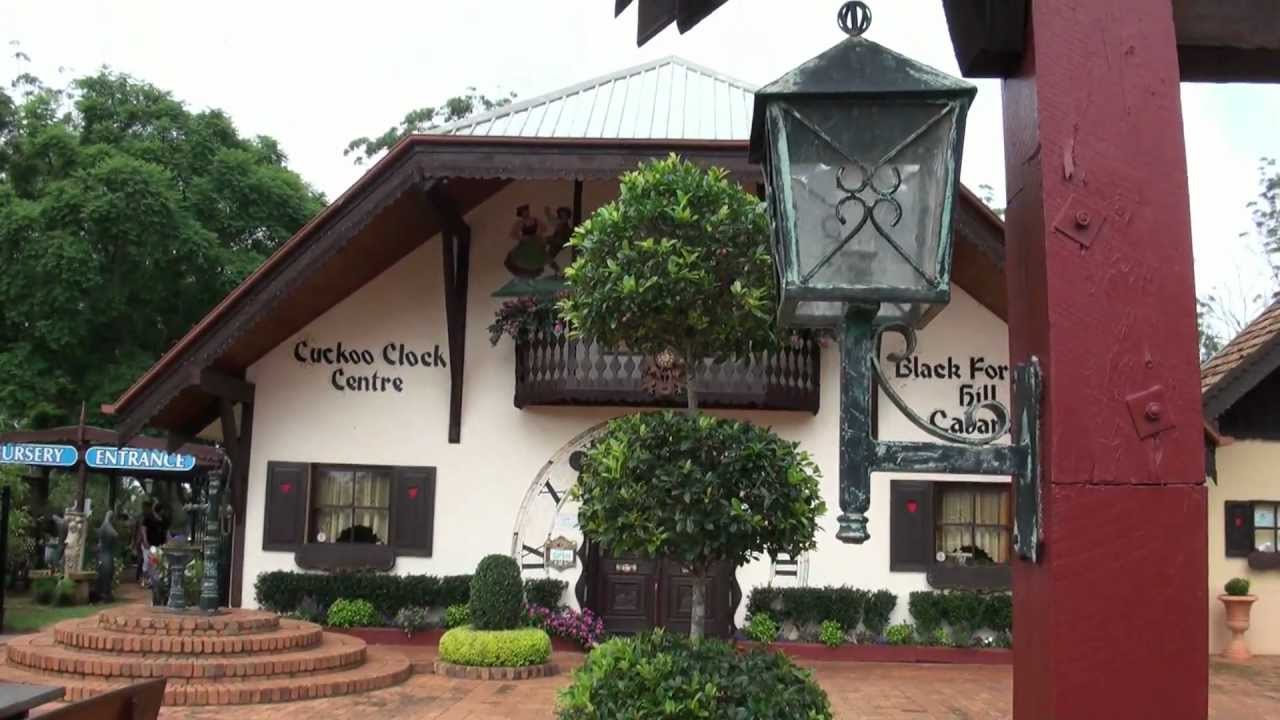 Black Forest Hill, Carbarlah Qld Cuckoo Clock Shop YouTube