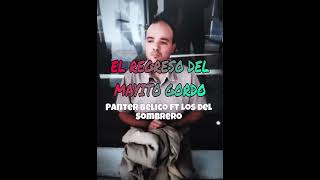 El Regreso Del Mayito Gordo - Panter Bélico ft Los Del Sombrero