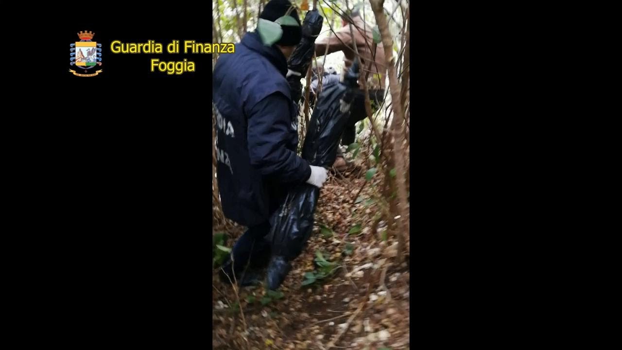 Foggia, progettavano l'evasione del boss: scoperto il deposito di armi del clan