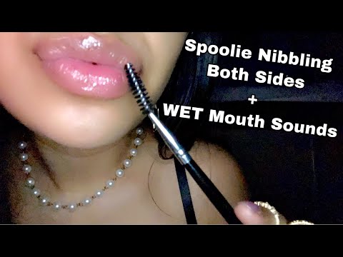 ASMR~ SPECIAL ANNOUNCEMENT+ Spoolie Nibbling Wet Mouth Sounds (Starting My Own Lipgloss Business?)