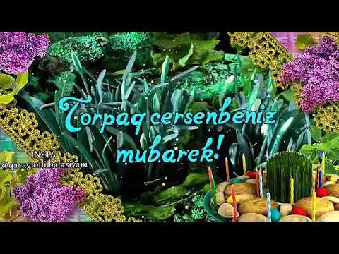 Torpaq cersenbesine aid video