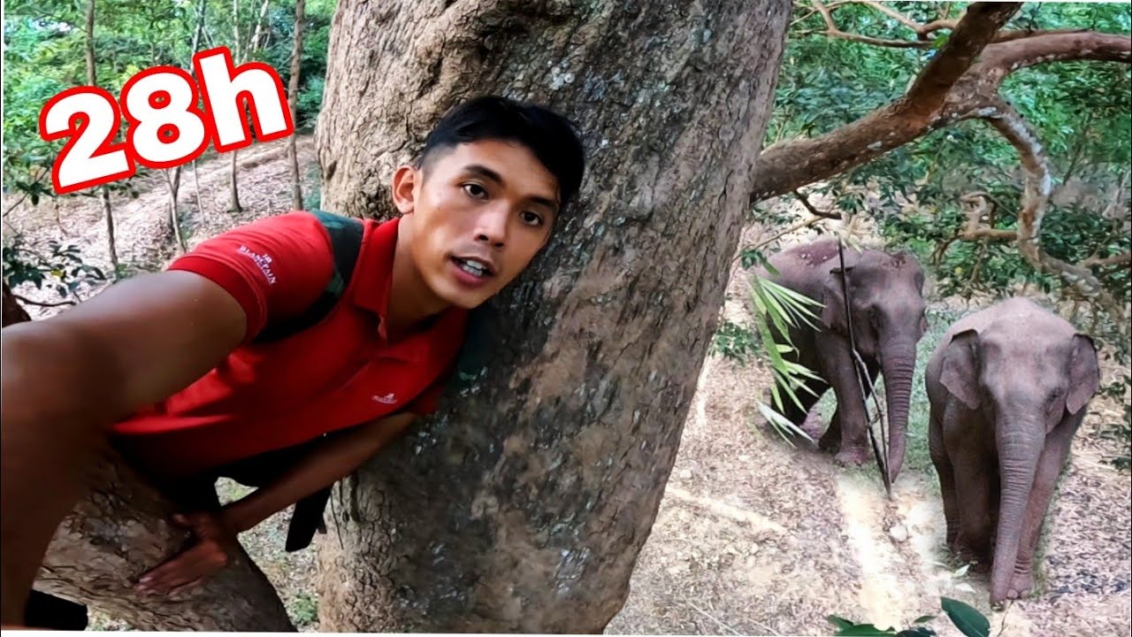 Theo Dấu VOI RỪNG | 28H SINH TỒN Trong Nông Trường Số 7 Chỉ Với 1 Con Dao